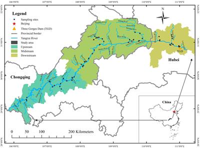 Effects of changing riparian topography on the decline of ecological indicators along the drawdown zones of long rivers in China